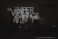Viper Vikings
